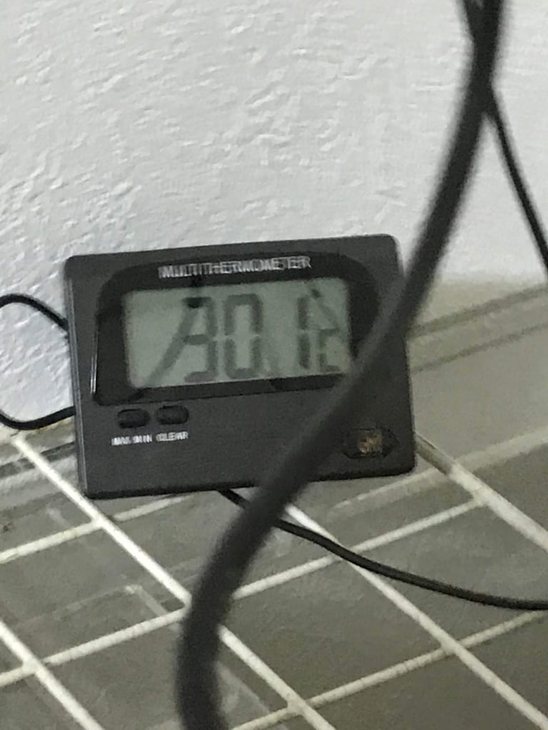 子ガメ飼育環境