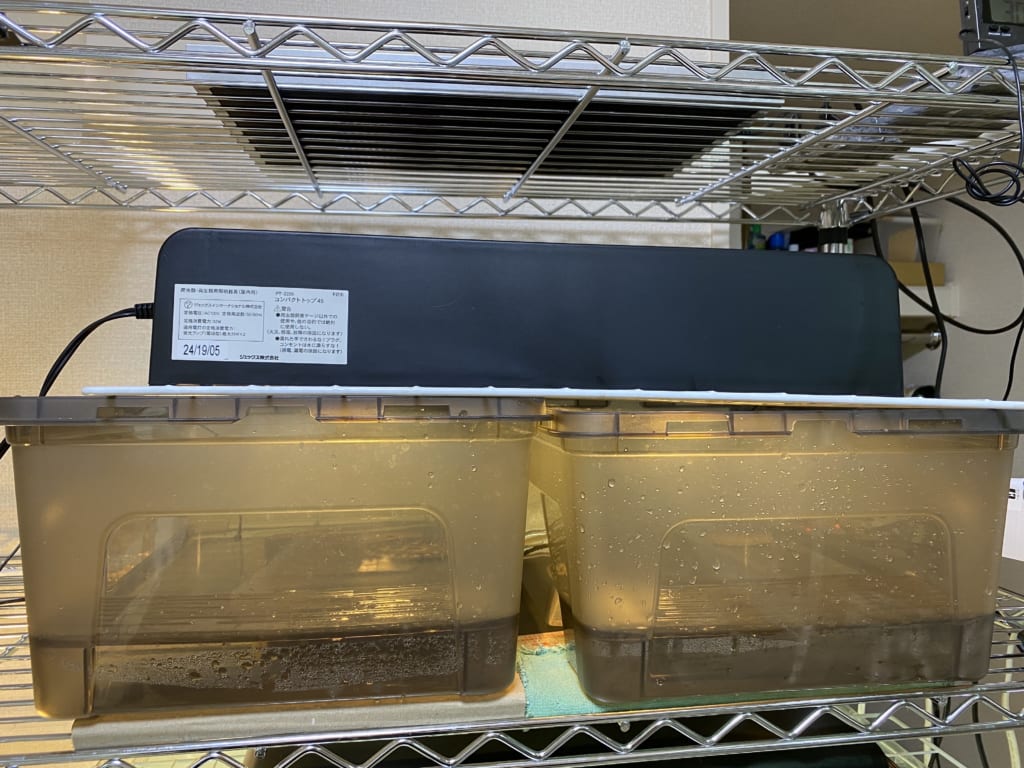 子ガメ飼育環境