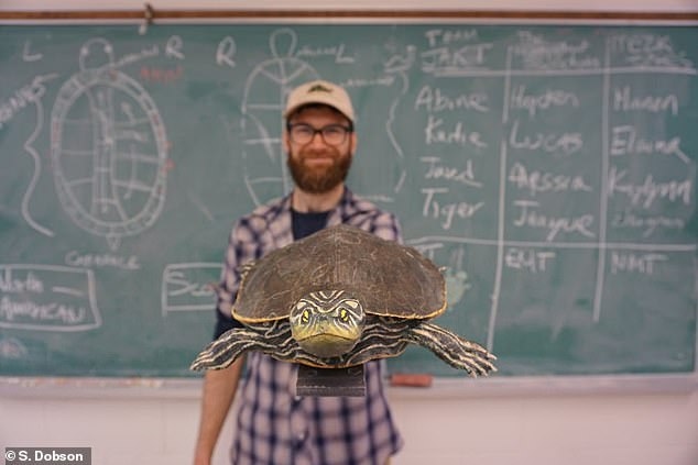 ワモンチズガメ チズガメは大きなメスがモテモテという研究 たなの生き物飼育記録